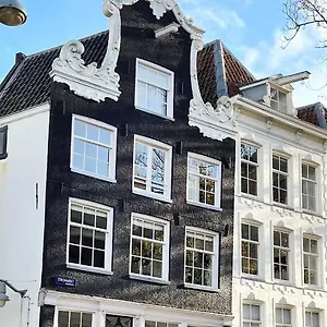 Little Tulip , Amsterdam Netherlands